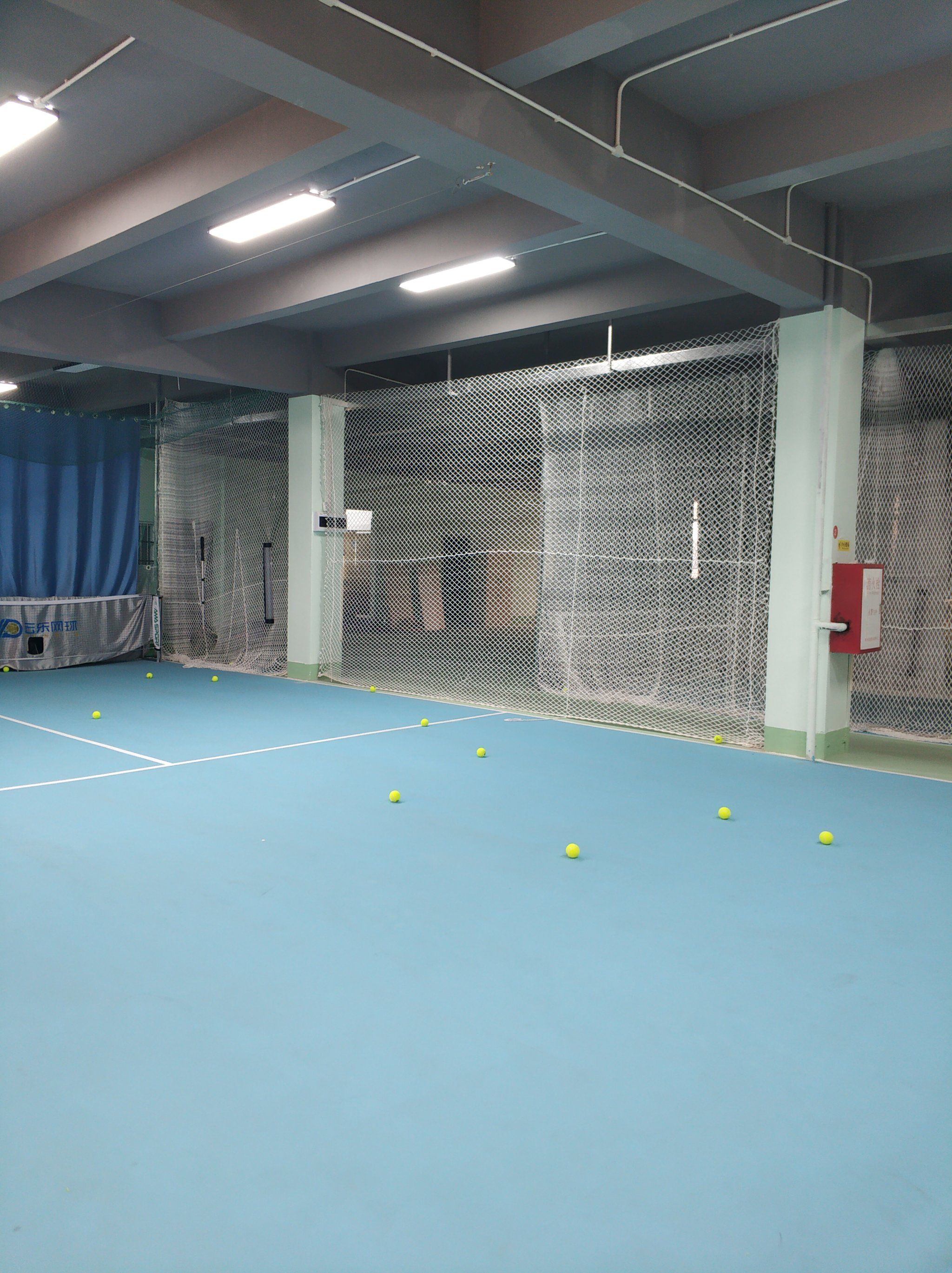 率是否高于 率是否高于